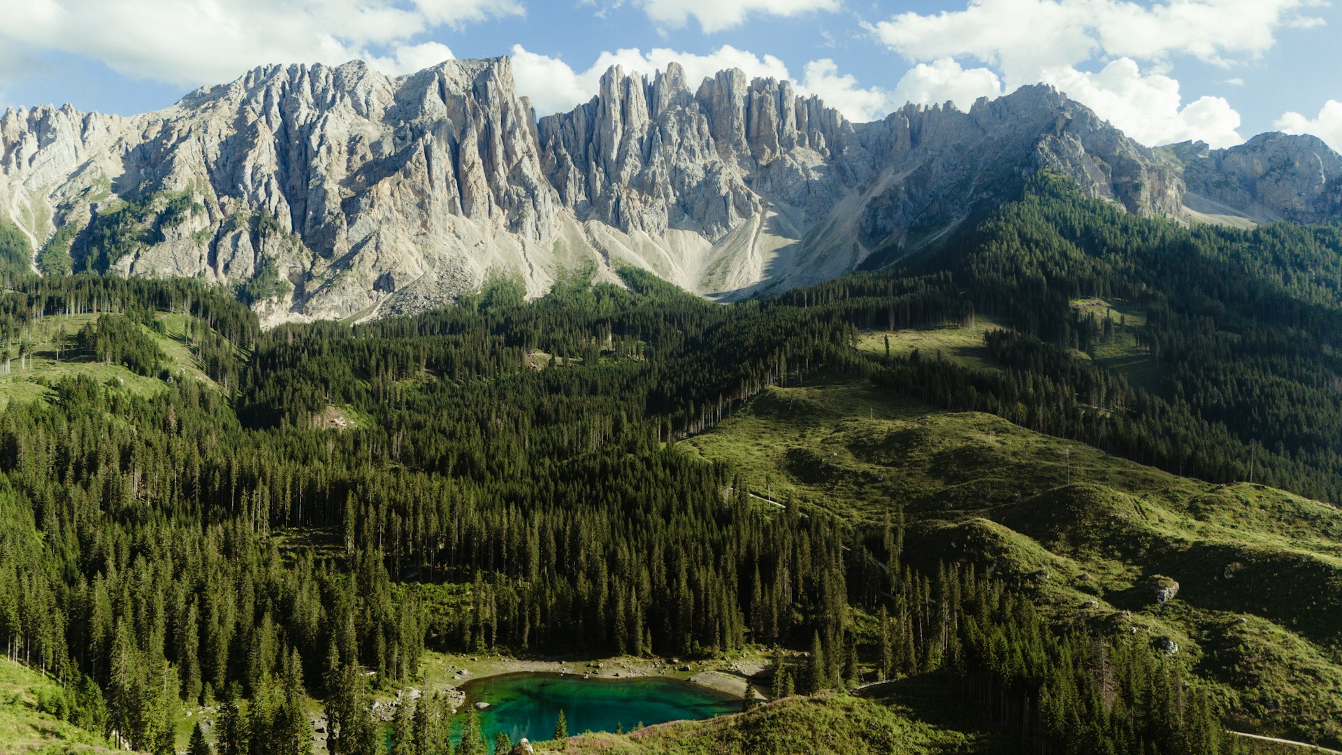 秋季森林與多洛米蒂山景